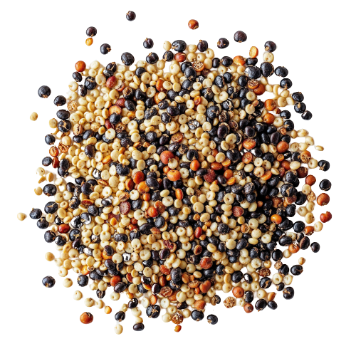 Organic Sprouted Quinoa