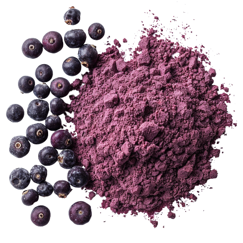 Organic Maqui Berry Powder