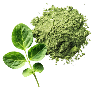 Organic Alfalfa Leaf Powder