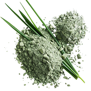 Organic Barley Grass Powder