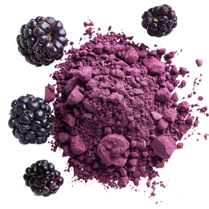 Organic Blackberry Powder