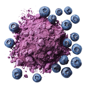 Organic Blueberry Powder