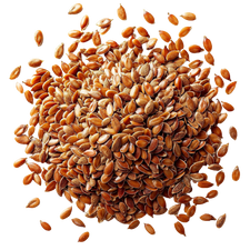 Organic Golden FlaxSeeds