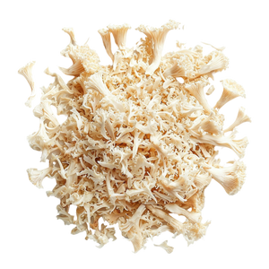 Organic Lion's Mane Mushroom Extract