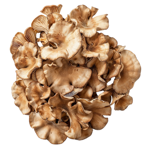 Organic Maitake Mushroom