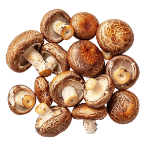 Organic Shiitake Mushroom