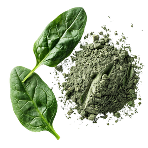 Organic Spinach Powder