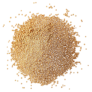 Organic Sprouted Amaranth