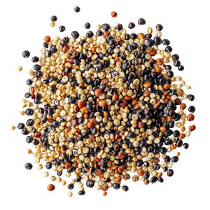 Organic Sprouted Quinoa