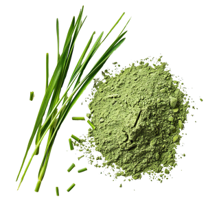 Organic WheatGrass Powder